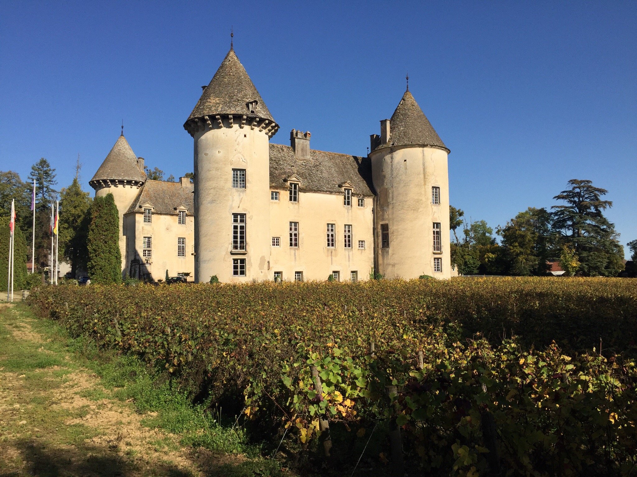 Musées Du Château De Savigny-lès-Beaune (Savigny-les-Beaune) - 2022 ...