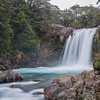 Things To Do in Ultimate North - Hiking New Zealand - 8 days, Restaurants in Ultimate North - Hiking New Zealand - 8 days
