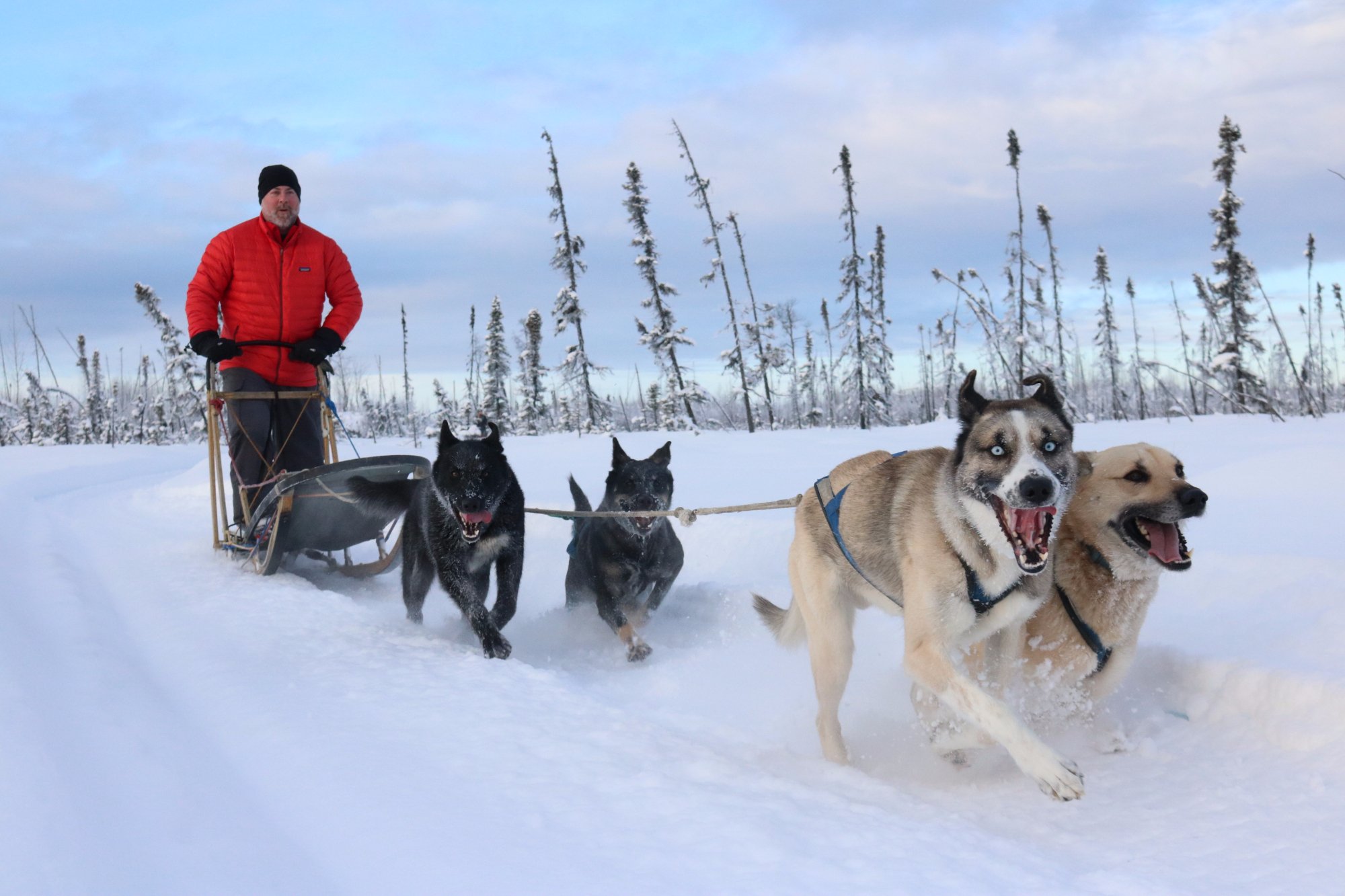 Mushing gear best sale