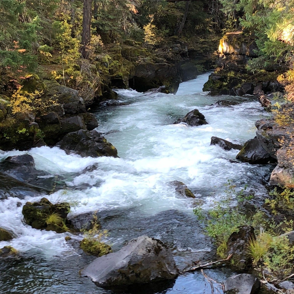 Rogue River (Medford) - All You Need to Know BEFORE You Go