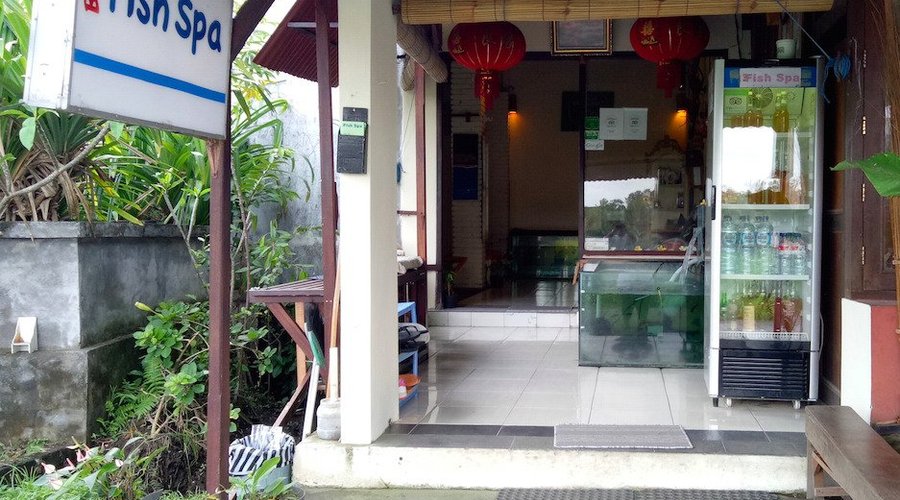 Bali Fish Spa