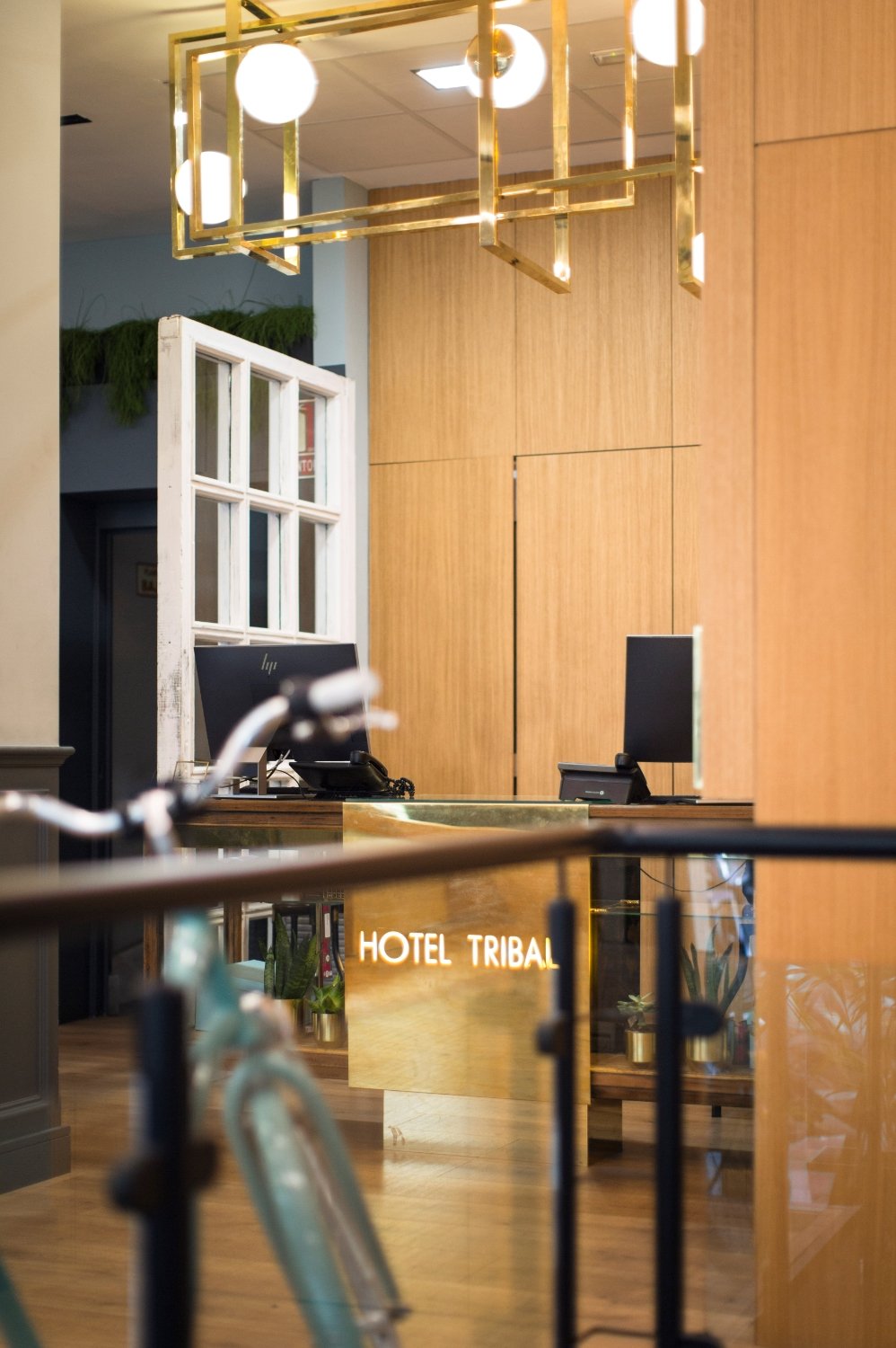 Hotel photo 11 of Petit Palace Triball.