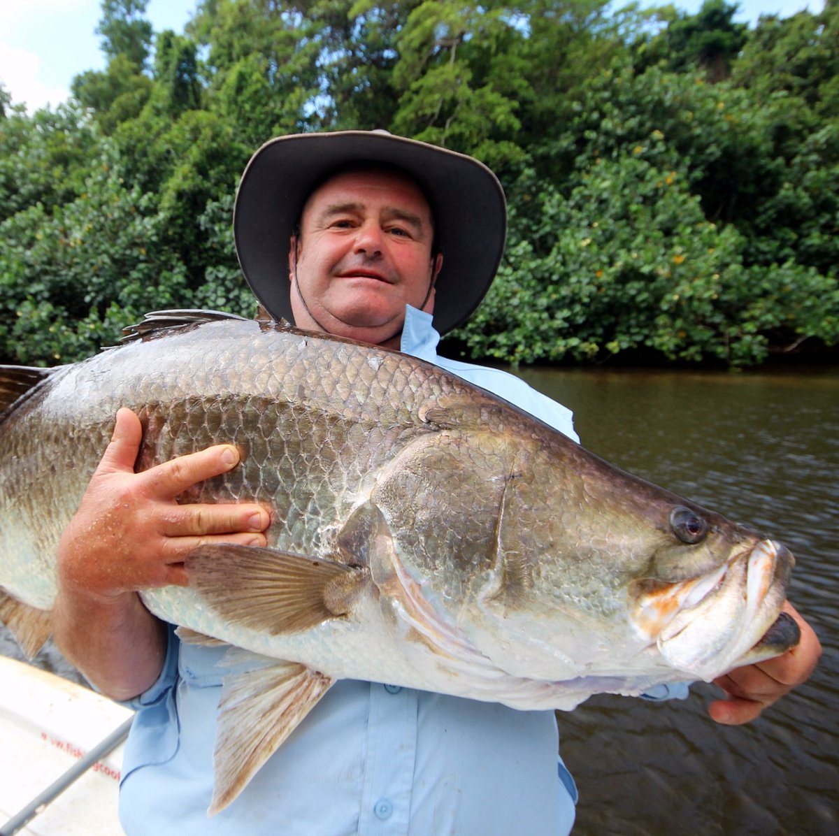 Gone Fishing - Cooktown - All You Need to Know BEFORE You Go (2024)