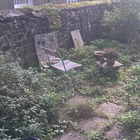 The Art garden studios rustic ,organic outdoor space to sit in and take in nature .