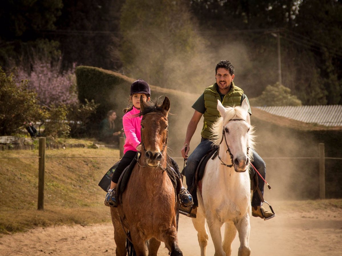 Tripadvisor  Arborismo en el huerto forestal - Campos do Jordão