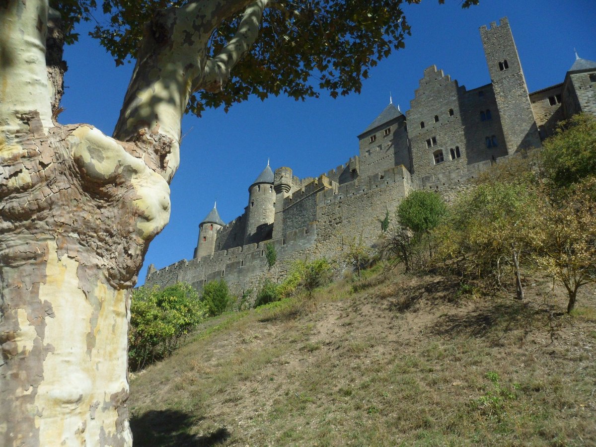 Bed & Breakfast Proche Cite Chez Jimmy Carcassonne, France - book