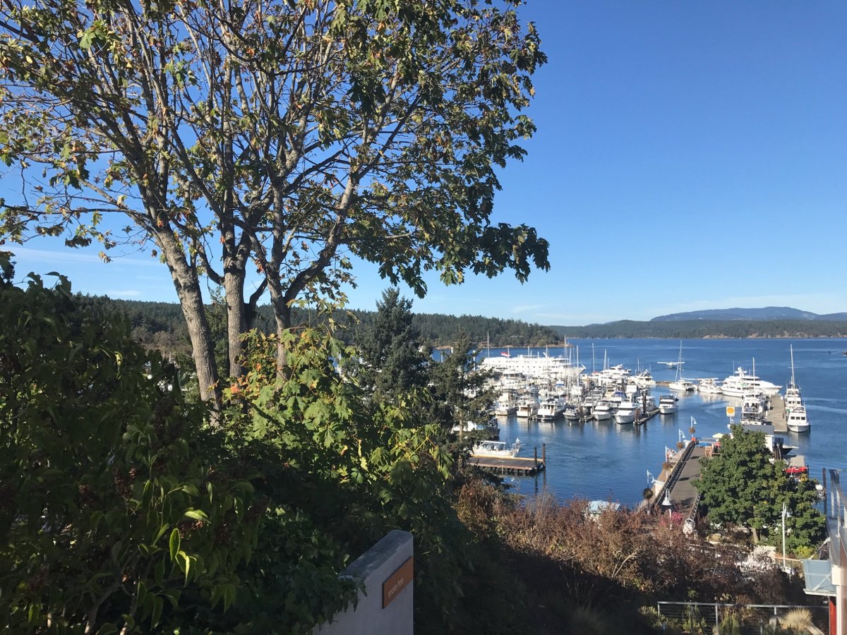 VINNY'S RISTORANTE, Friday Harbor - Restaurant Reviews, Photos & Phone ...