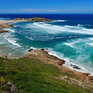 lilla bryder ud mærke THE 15 BEST Things to Do in Garden Route - 2023 (with Photos) - Tripadvisor