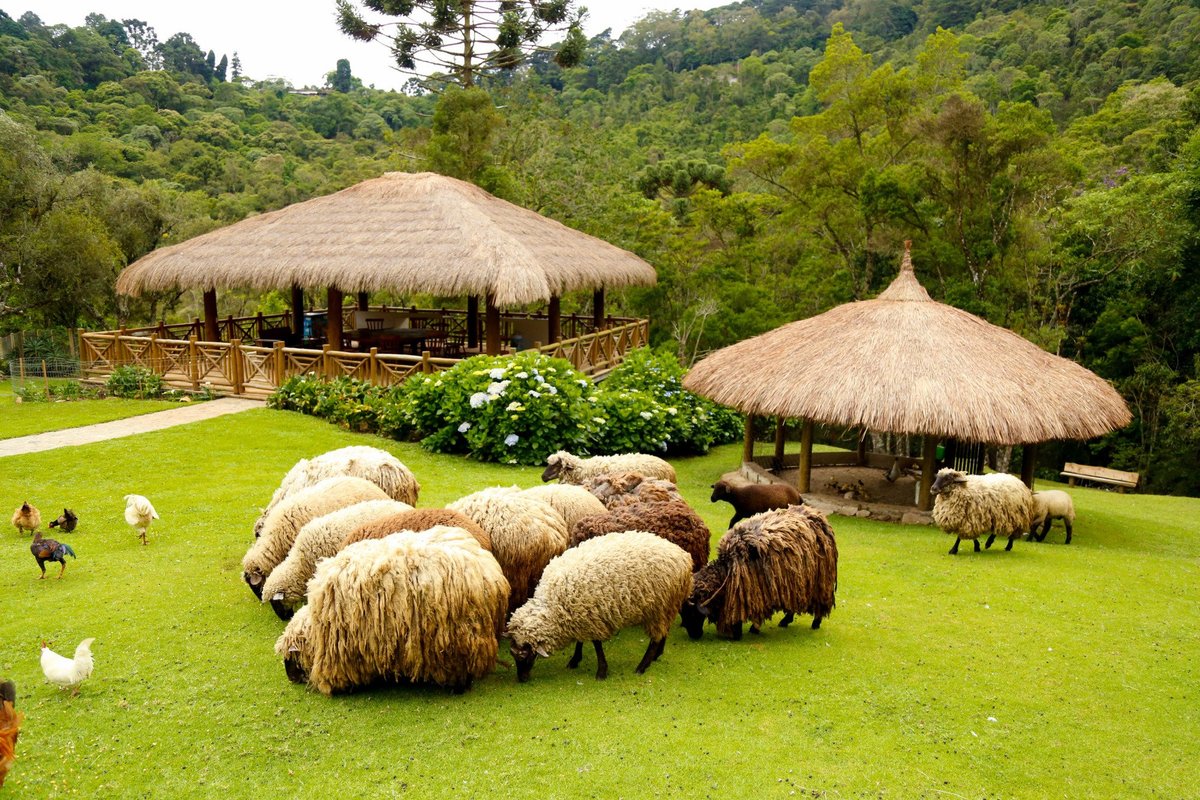 fazendinha hotel toriba campos do jordão