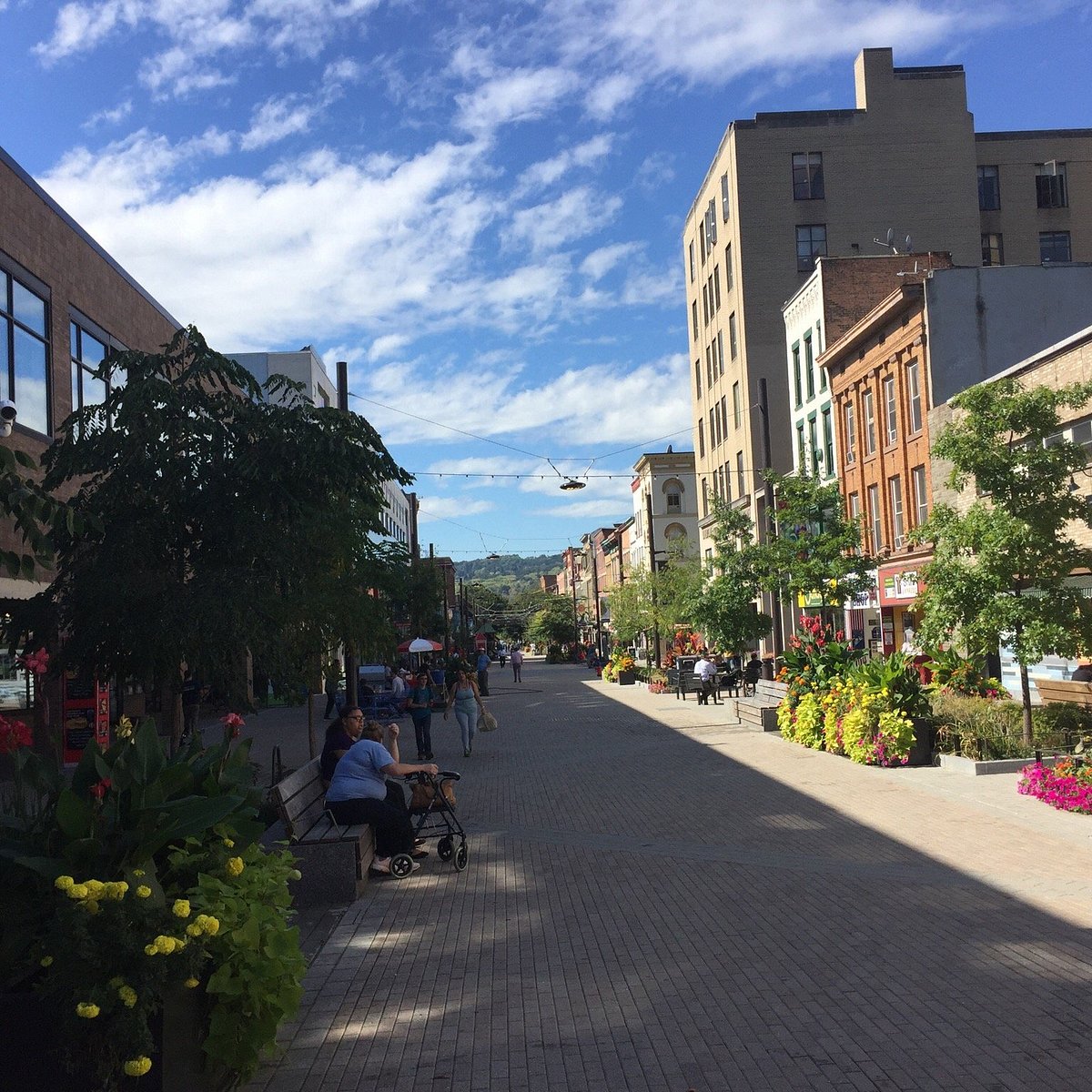 Downtown Ithaca Lo que se debe saber antes de viajar Tripadvisor