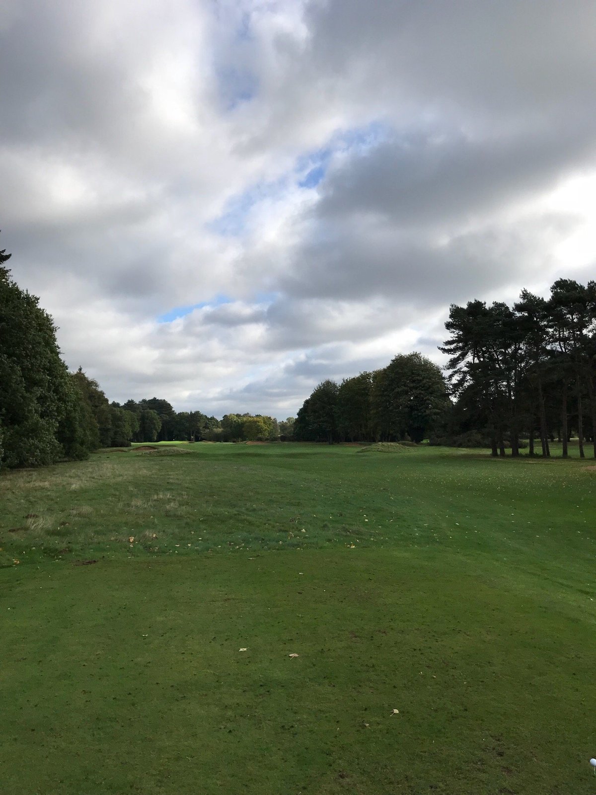 Frilford Heath Golf Club - All You Need to Know BEFORE You Go