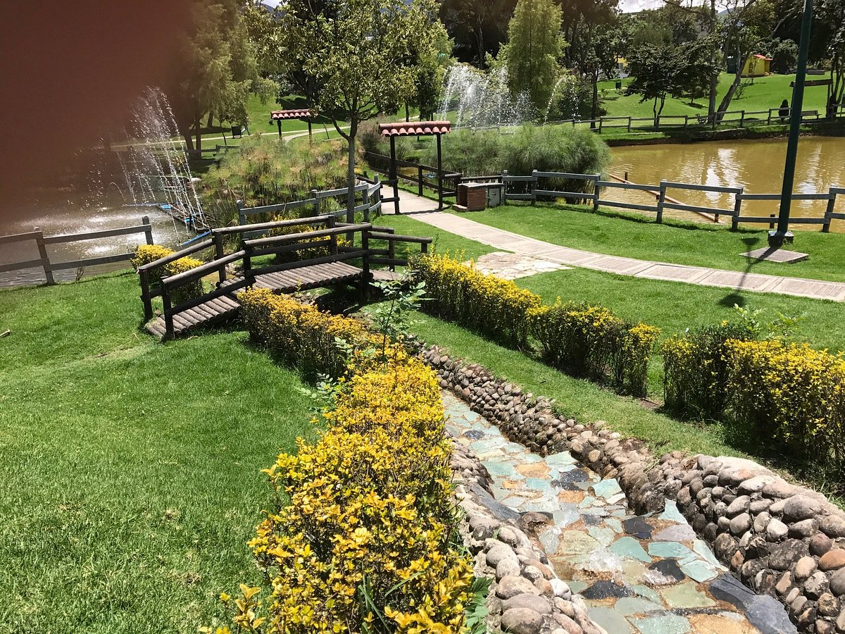 El parque para perros en Bogotá que tiene atracciones y la entrada es gratis