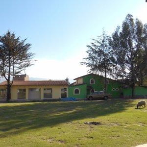 las habitaciones estan rodeadas de areas verdes 
