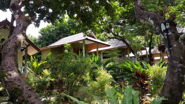 OUR JUNGLE HOUSE (KHAO SOK NATIONAL PARK, TAILÂNDIA): 1.480 fotos,  comparação de preços e avaliações - Tripadvisor