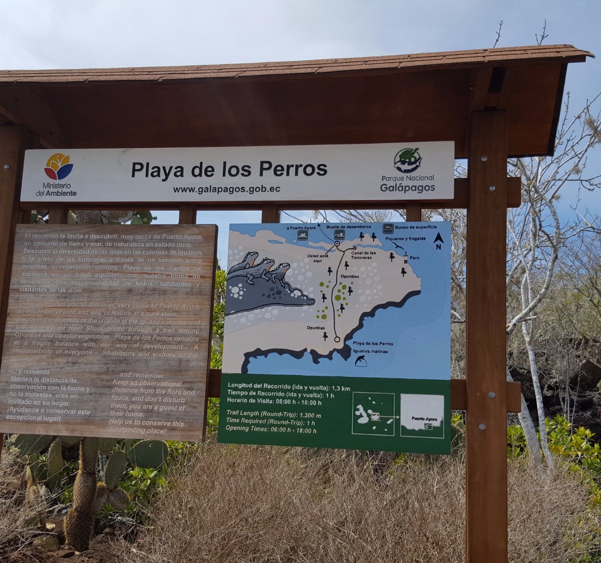 Walking tour Sendero de la Isla  Travel in Ecuador and Galapagos