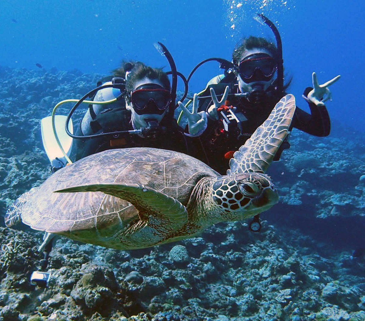 OKINAWA DIVING SHOP KAHANA (2025) All You Need to Know BEFORE You Go ...