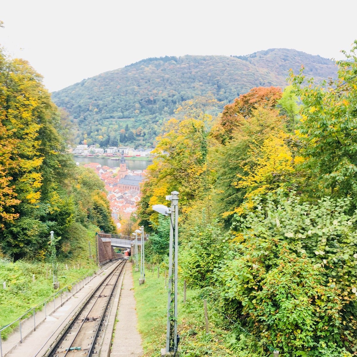 Konigstuhl Funicular (Bergbahn), Гейдельберг: лучшие советы перед  посещением - Tripadvisor