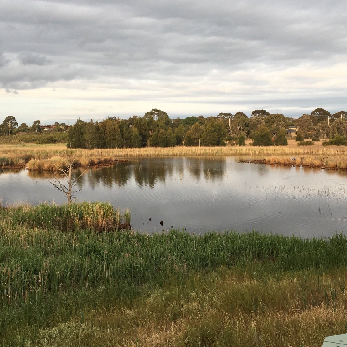 Edithvale-Seaford Wetlands - All You Need to Know BEFORE You Go (2024)