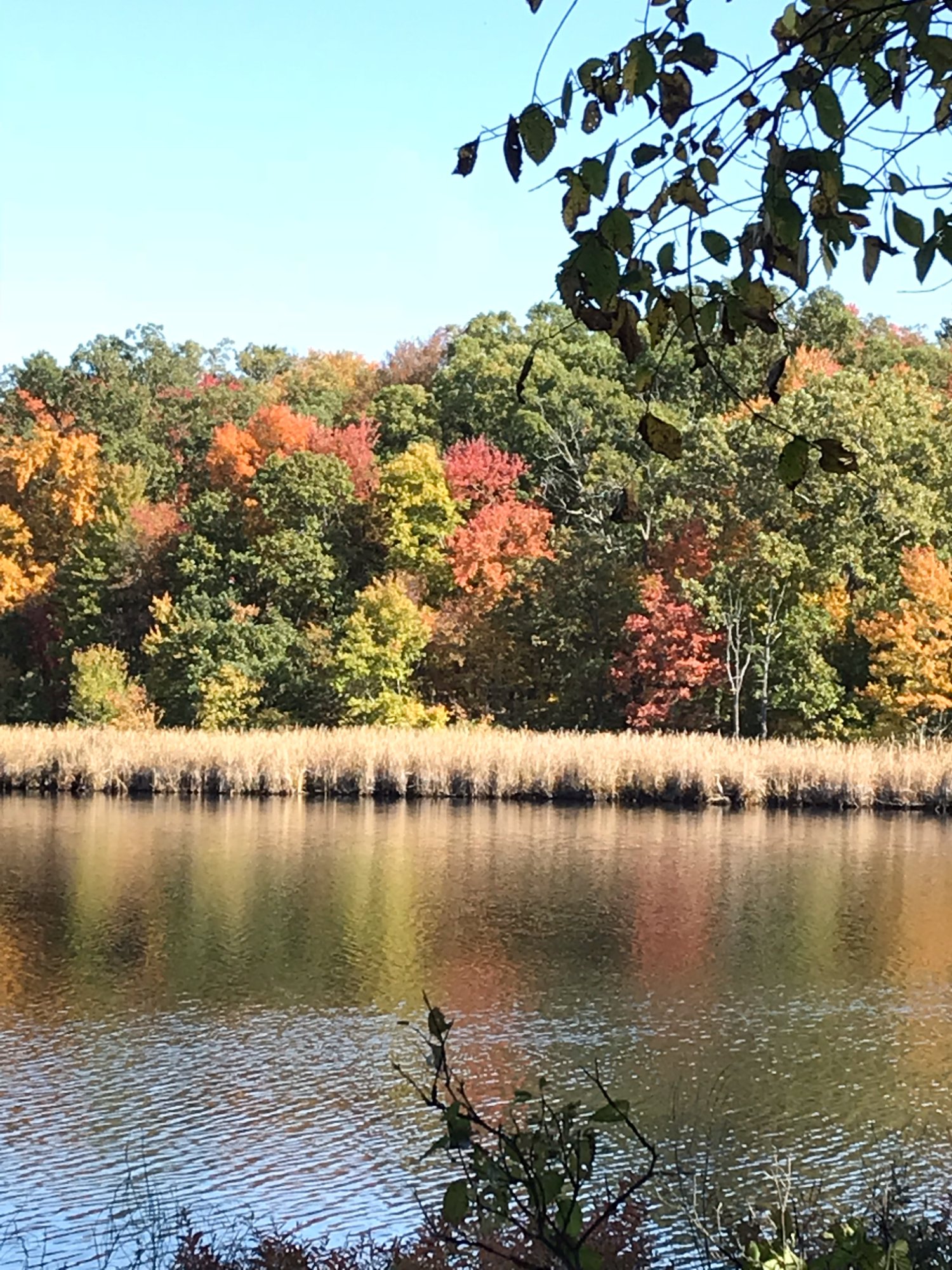 Cutler park mountain discount biking