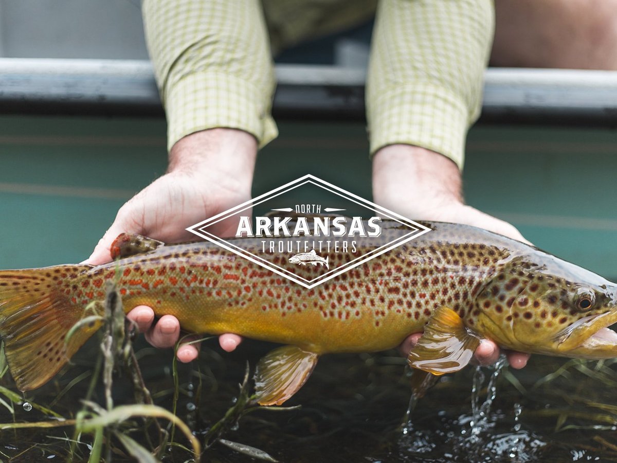 North Arkansas Troutfitters (cotter) - All You Need To Know Before You Go