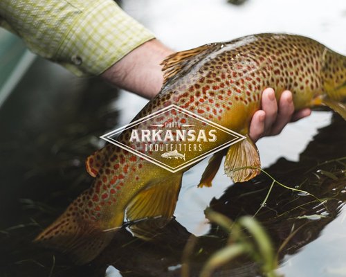 THE 10 BEST Arkansas Fishing Charters & Tours (with Prices)