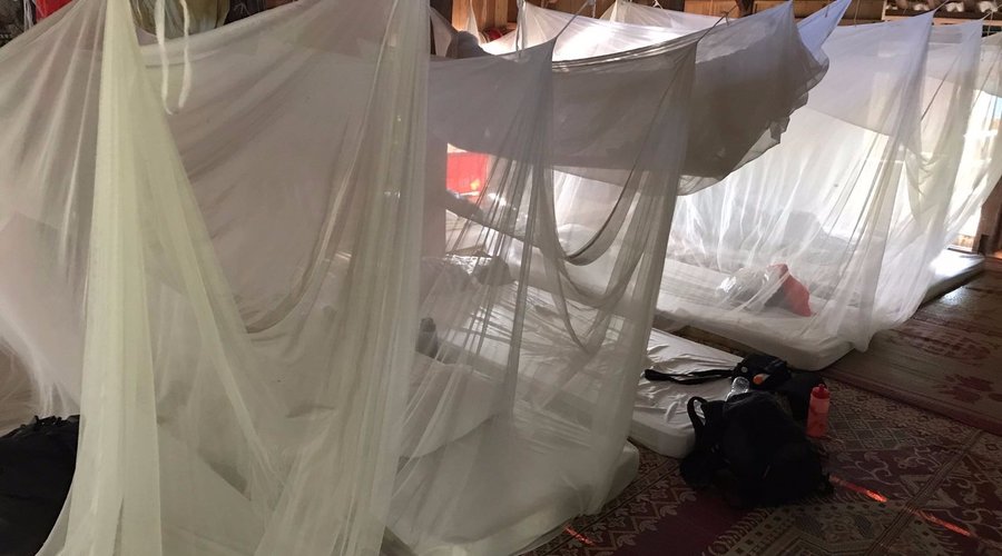 Sleeping under a mosquito net