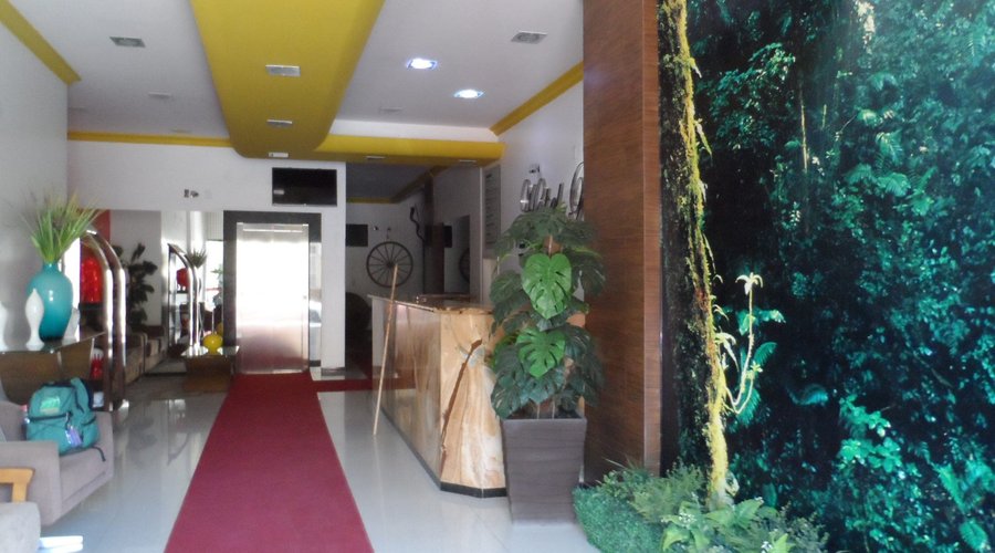 Hotel Palace Carangola