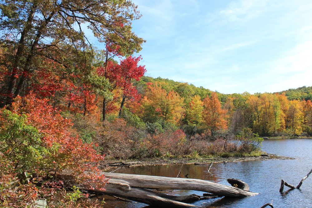 Cornwall State Park: A Slice Of New York’s Natural Beauty