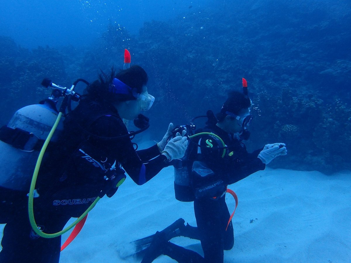 Diving Supplier Smile in Okinawa - All You Need to Know BEFORE You Go ...