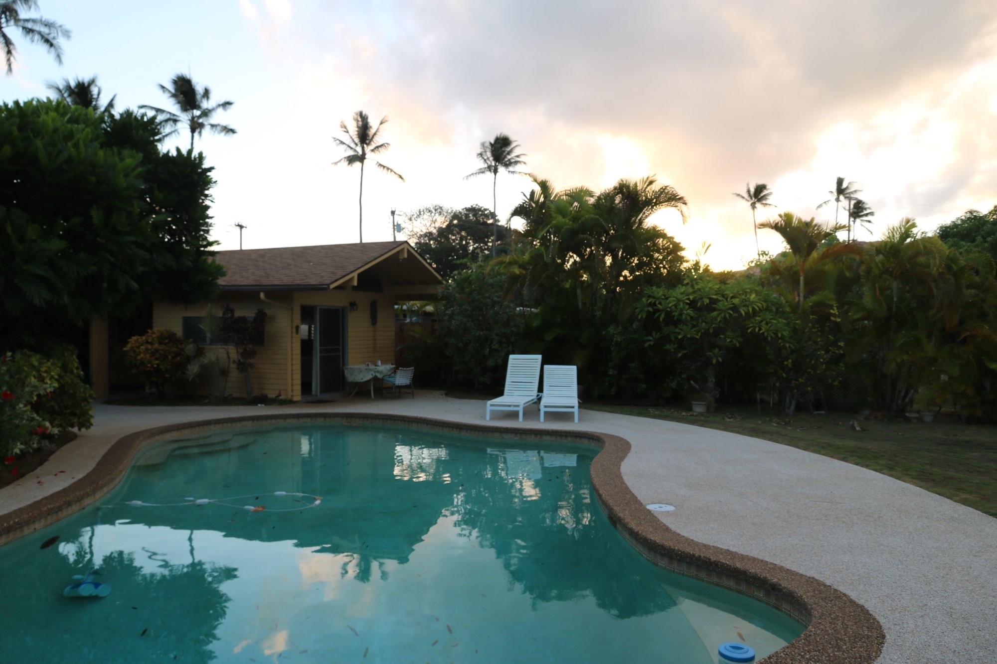 Papaya Paradise Bed And Breakfast Pool Pictures & Reviews - Tripadvisor