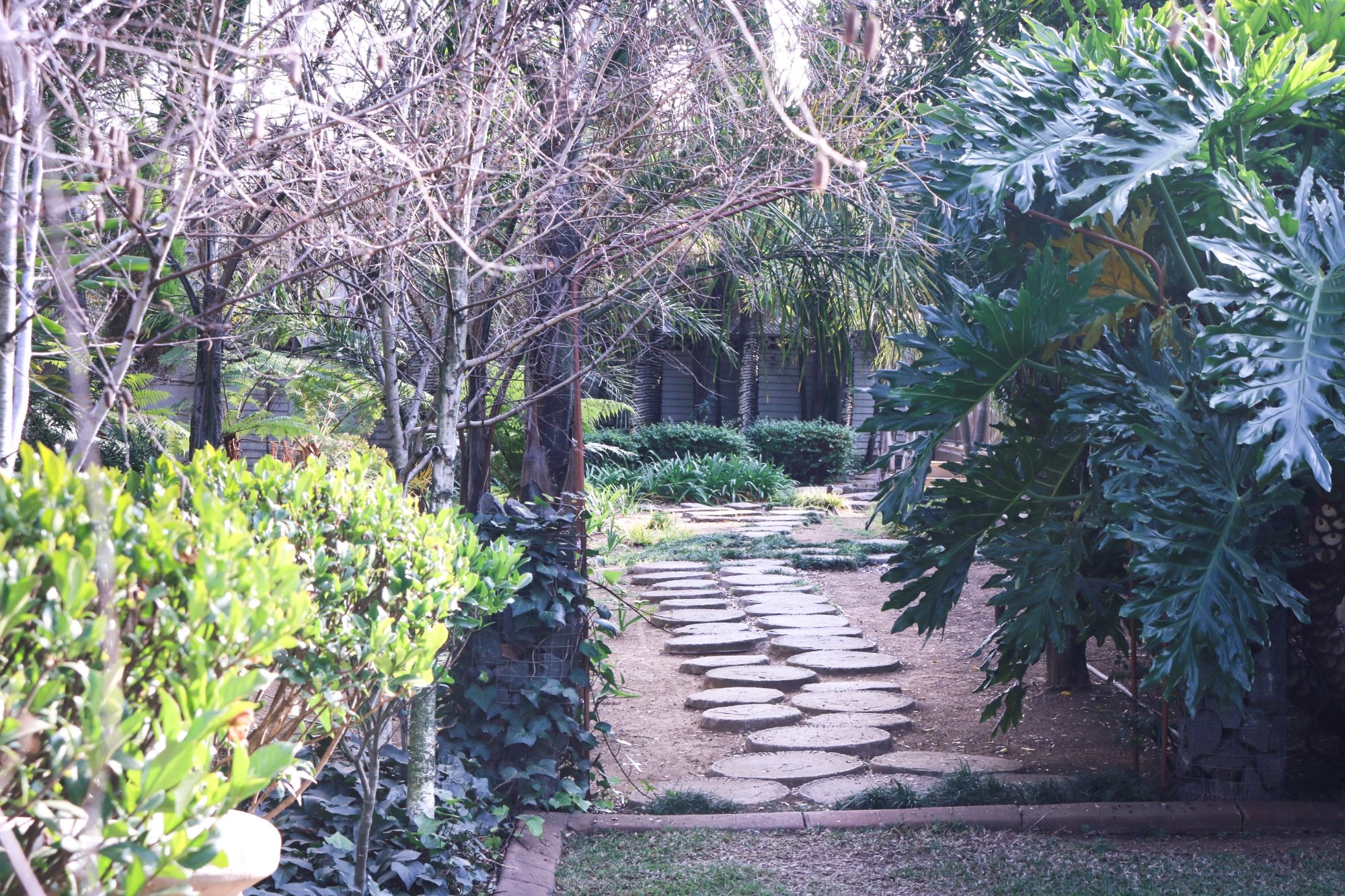 Hotel photo 15 of iLawu Guest Lodge.