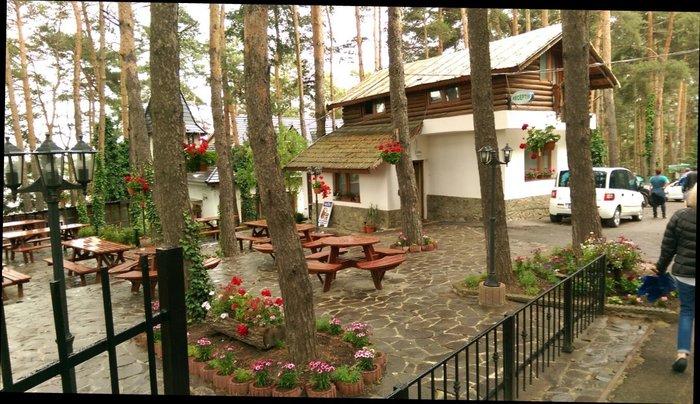 Portuguese Great Barrier Reef Wait a minute PARCUL CU PINI MARDARE PENSION - Guest house Reviews (Moinesti, Romania)