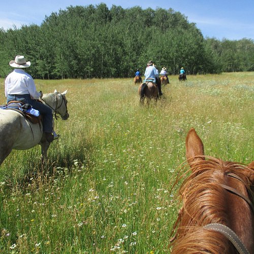 THE 10 BEST Wyoming Horseback Riding Tours (Updated 2024)