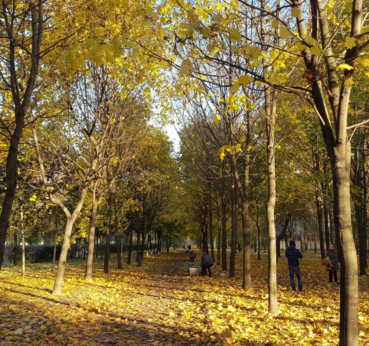Парк декабристов санкт петербург