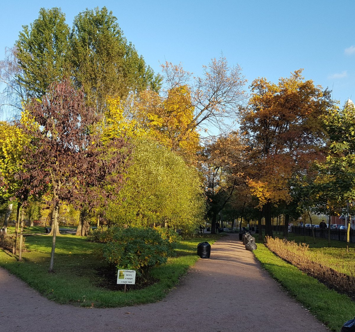 Соловьевский сад в петербурге