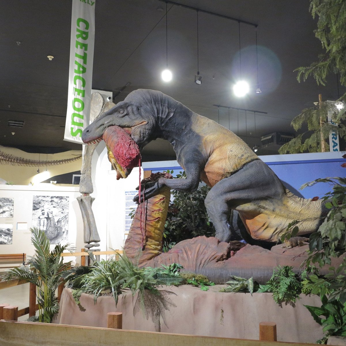 Museum of Western Colorado Dinosaur Journey Museum (Fruita) Review