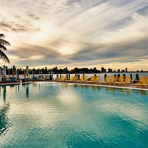 300px x 300px - THE BEST Miami Beach Hotels with Infinity Pools 2023 (with Prices) -  Tripadvisor