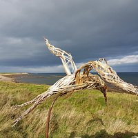 Bird Sculpture