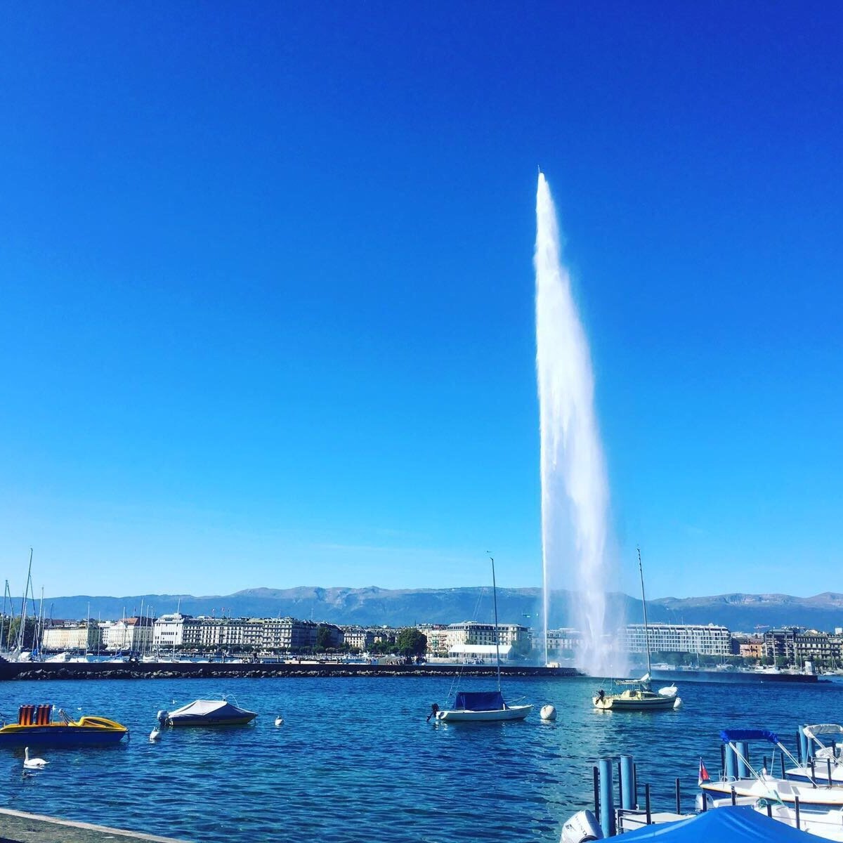 JET D'EAU (Geneva) All You Need to Know BEFORE You Go