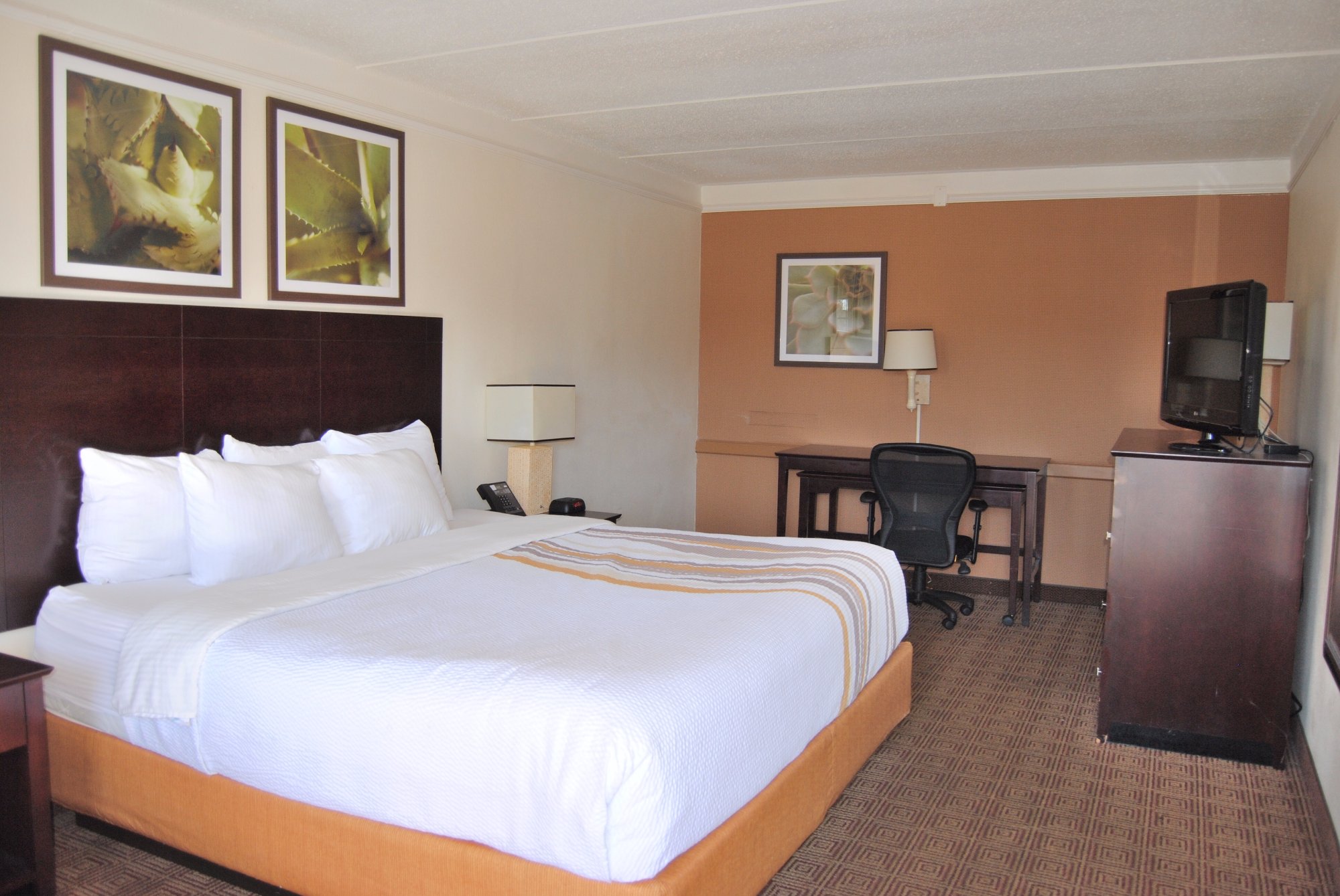 AMERICAS BEST VALUE INN MONTGOMERY AL Alabama Opiniones   Surestay Hotel Montgomery 