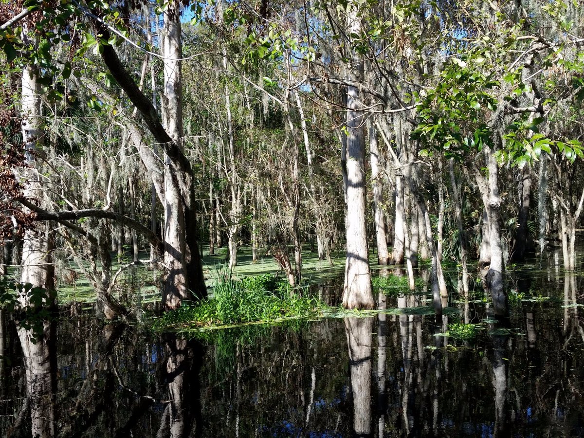 Boat Tree Marina (Sanford) - All You Need to Know BEFORE You Go