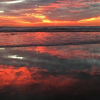 Oceanside Harbor is a hidden gem.