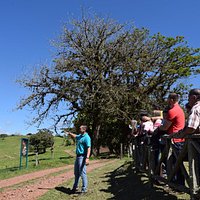 Organic Strawberry & Dairy Farm Tour from San Jose