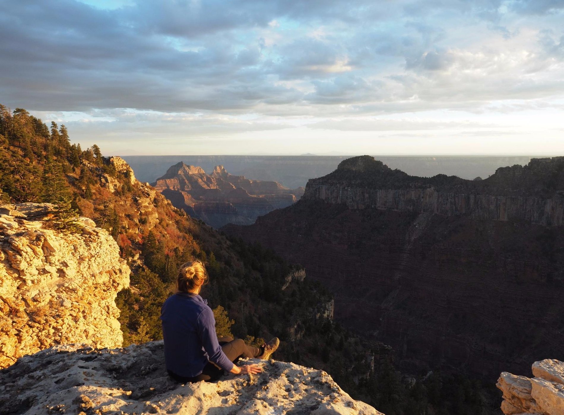 North Rim Campground by null