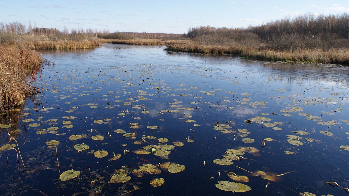 Заповедник 