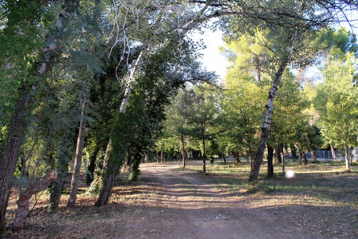 Imagen 10 de Balneario Fuentepodrida