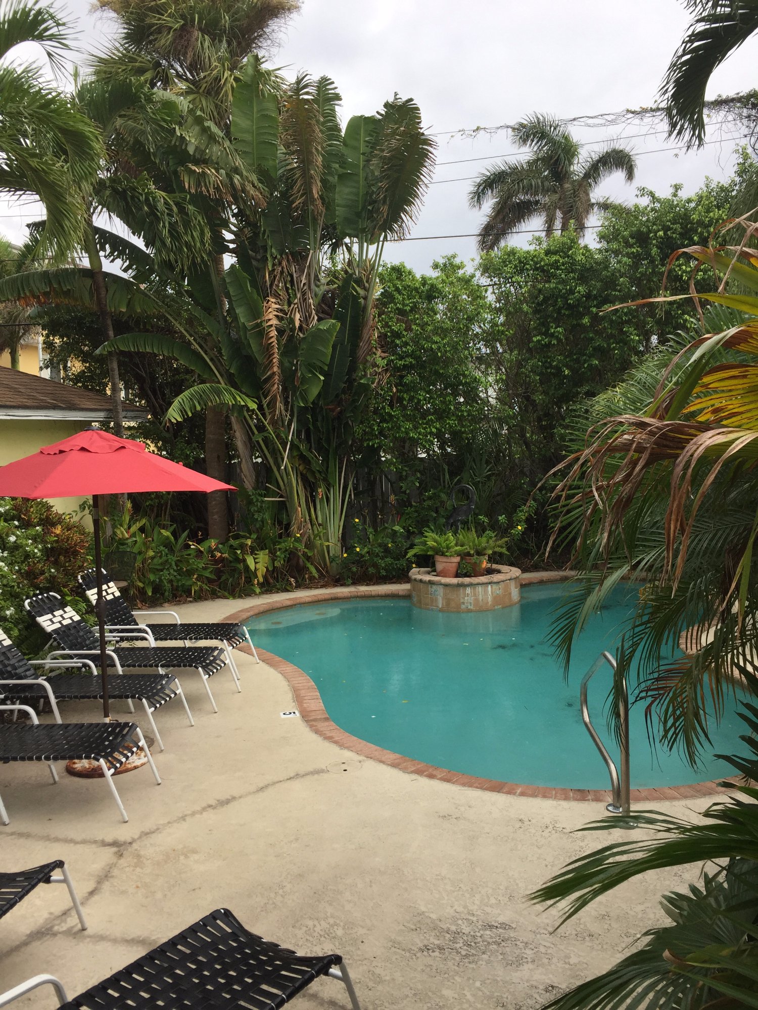 Mango Inn Bed And Breakfast Pool: Pictures & Reviews - Tripadvisor