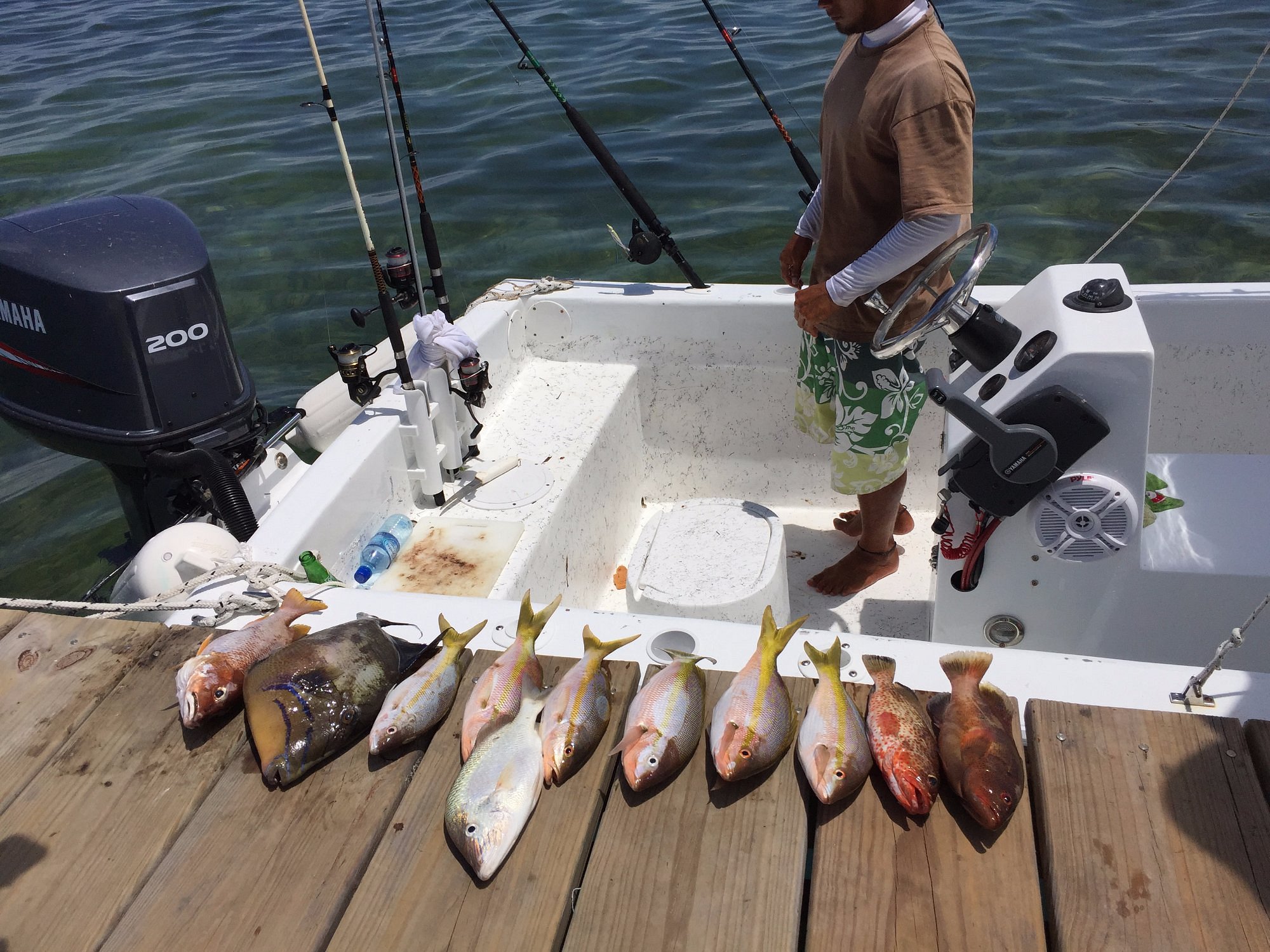 Blue Water Fishing Charters (San Pedro) All You Need to Know BEFORE