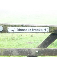Keep your eyes open, this is the only sign!