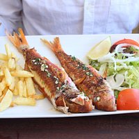 Ca's Patro March Red Mullet